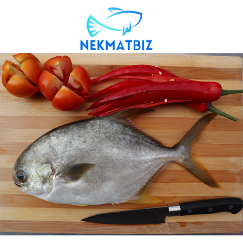 Ikan Bawal Mas ±1kg