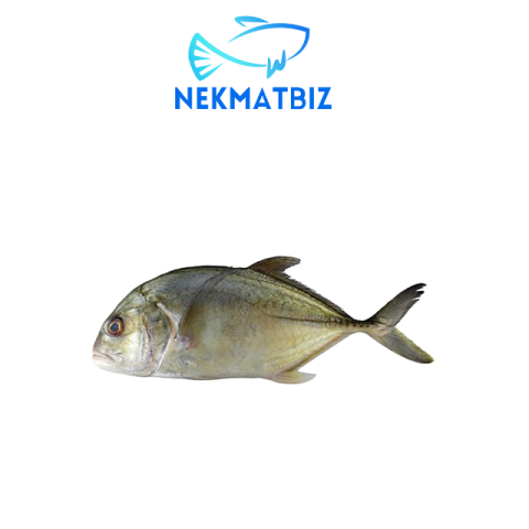 Ikan Nyok ±1kg