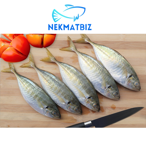 Ikan Selar ±1kg